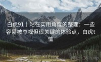 白虎91｜站在实用角度的整理：一些容易被忽视但很关键的体验点，白虎t恤