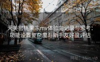 天美密桃果冻mv体验向记录与思考：功能设置复杂度与新手友好度评估