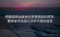 把蘑菇网站放进日常使用后的感受：整体使用氛围与浏览节奏的感受