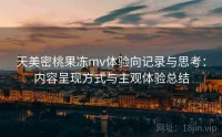 天美密桃果冻mv体验向记录与思考：内容呈现方式与主观体验总结