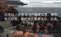 白虎91｜从普通用户角度出发：哪些地方好用，哪些地方需要适应，白虎好吗