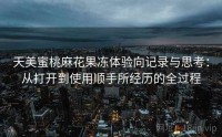天美蜜桃麻花果冻体验向记录与思考：从打开到使用顺手所经历的全过程
