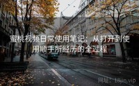 蜜桃视频日常使用笔记：从打开到使用顺手所经历的全过程