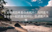 反复使用后再看白虎图片：与同类平台放在一起的直观对比，白虎图片头像