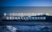 第一次用白虎图片时的真实感受：内容更新频率与实际可用性的观察