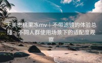 天美密桃果冻mv｜不带滤镜的体验总结：不同人群使用场景下的适配度观察
