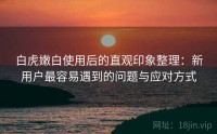 白虎嫩白使用后的直观印象整理：新用户最容易遇到的问题与应对方式