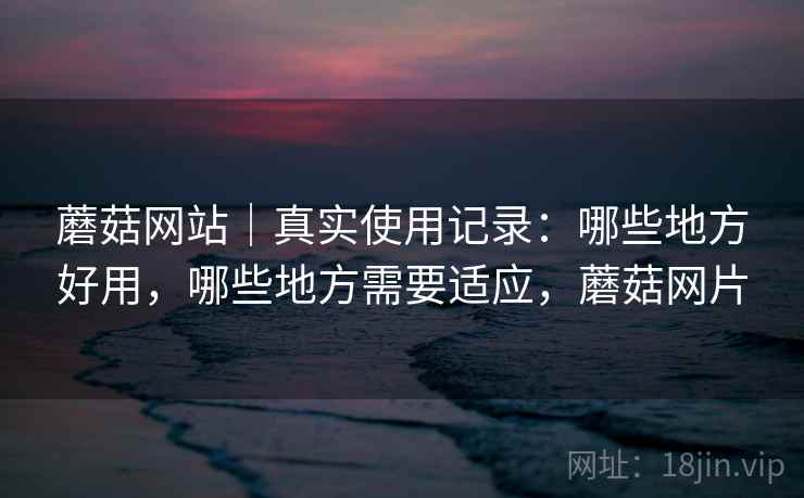 蘑菇网站|真实使用记录:哪些地方好用,哪些地方需要适应,蘑菇网片 蘑菇网站|真实使用记录:哪些地方好用,哪些地方需要适应,蘑菇网片