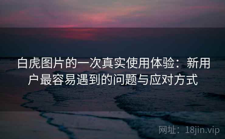 白虎图片的一次真实使用体验：新用户最容易遇到的问题与应对方式