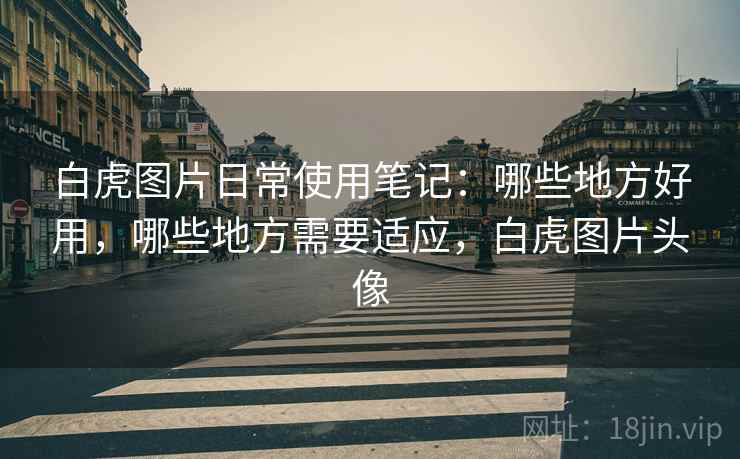 白虎图片日常使用笔记：哪些地方好用，哪些地方需要适应，白虎图片头像