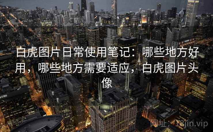 白虎图片日常使用笔记：哪些地方好用，哪些地方需要适应，白虎图片头像