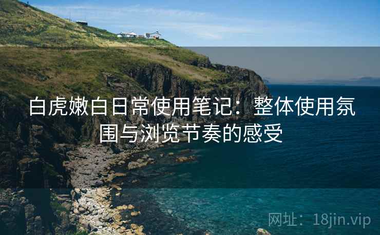 白虎嫩白日常使用笔记：整体使用氛围与浏览节奏的感受