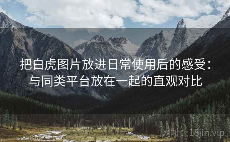 把白虎图片放进日常使用后的感受:与同类平台放在一起的直观对比 把白虎图片放进日常使用后的感受:与同类平台放在一起的直观对比