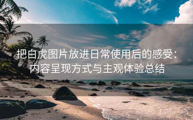 把白虎图片放进日常使用后的感受：内容呈现方式与主观体验总结