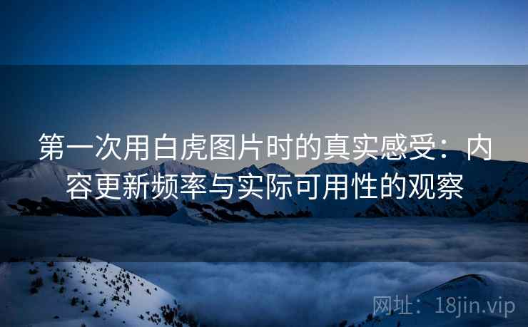 第一次用白虎图片时的真实感受:内容更新频率与实际可用性的观察 第一次用白虎图片时的真实感受:内容更新频率与实际可用性的观察