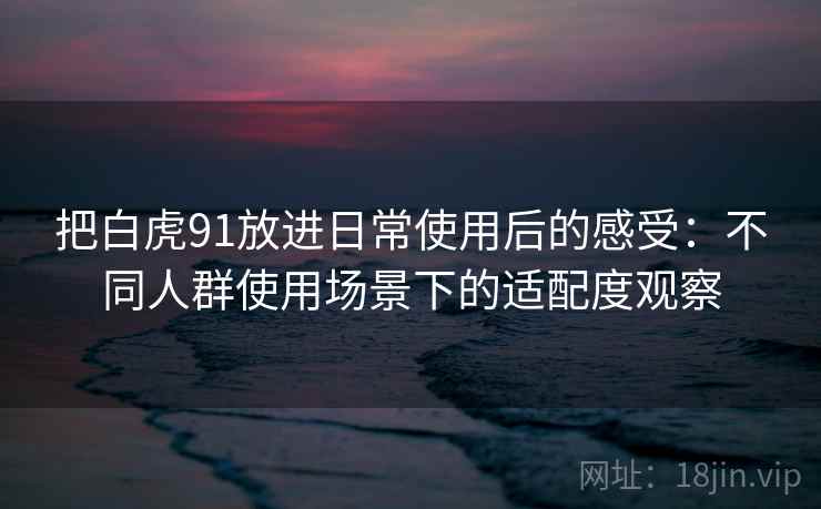 把白虎91放进日常使用后的感受:不同人群使用场景下的适配度观察 把白虎91放进日常使用后的感受:不同人群使用场景下的适配度观察