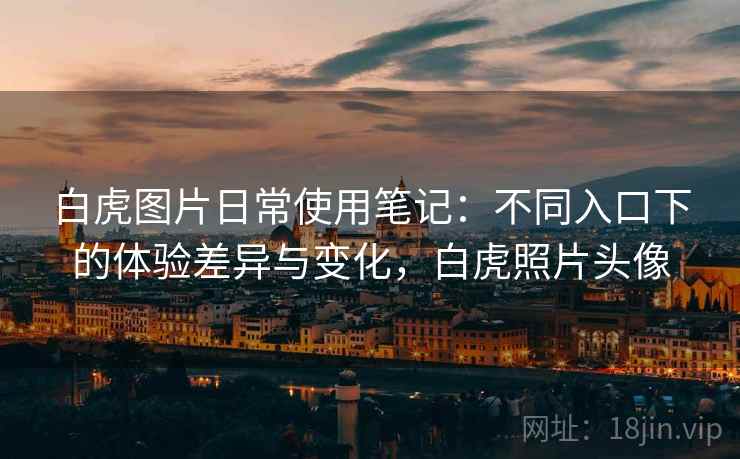 白虎图片日常使用笔记:不同入口下的体验差异与变化,白虎照片头像 白虎图片日常使用笔记:不同入口下的体验差异与变化,白虎照片头像