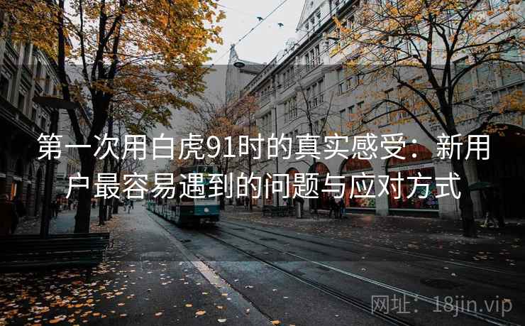 第一次用白虎91时的真实感受:新用户最容易遇到的问题与应对方式 第一次用白虎91时的真实感受:新用户最容易遇到的问题与应对方式